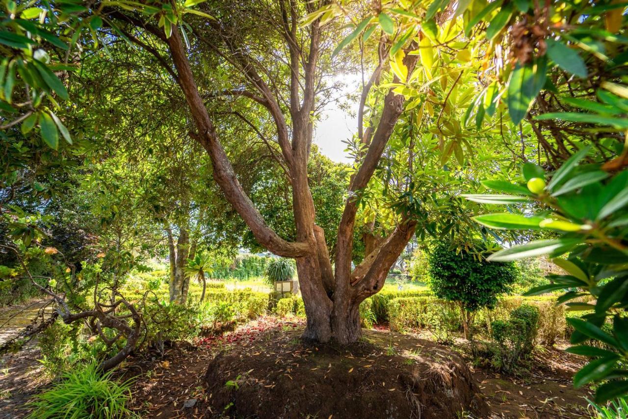 הוילה סנטנה Casa Da Tia Clementina מראה חיצוני תמונה